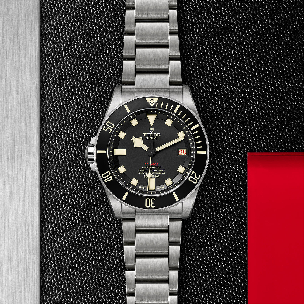 Tudor left 2025 hand watch